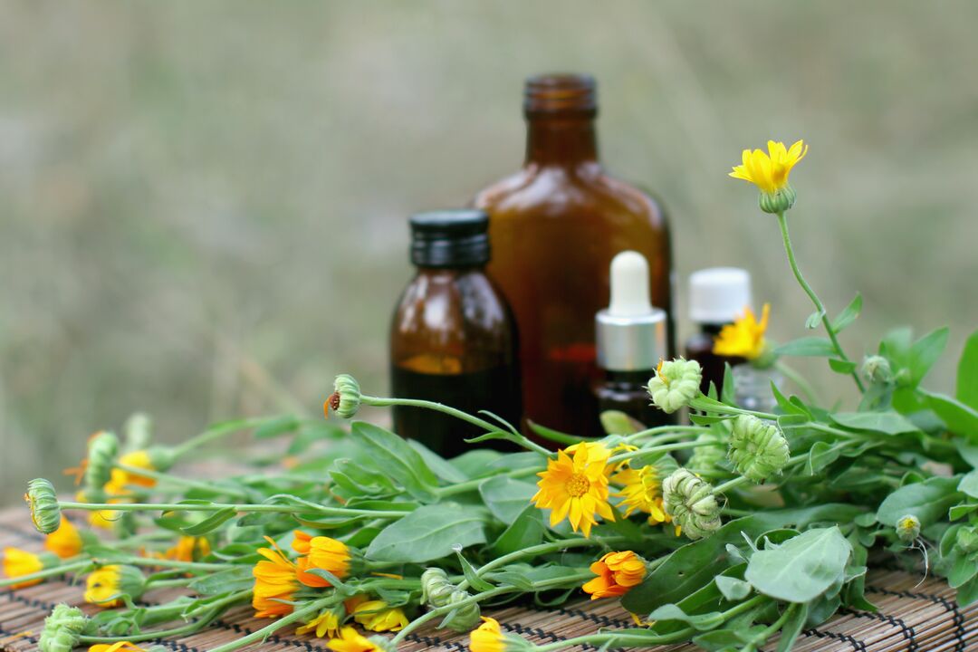 Elecampane - folk remedy for sexual arousal with reduced potency