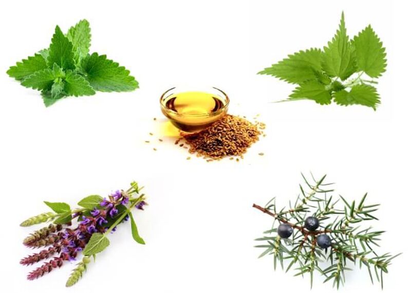 Mint, Nettle, Thyme, Juniper and Monday Oil